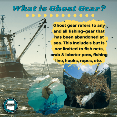 Ano ang Ghost Gear?