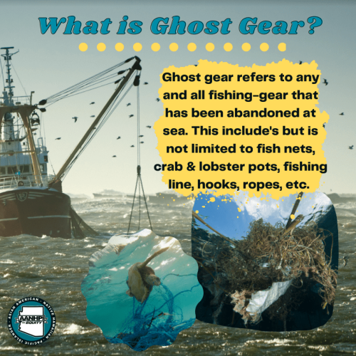 Ghost Gear ແມ່ນຫຍັງ?