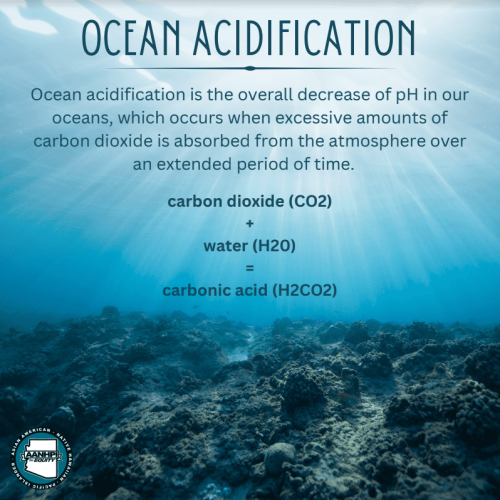 Ocean Acidification